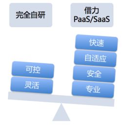 基于PaaS和SaaS研发平台体系 HackerVirus